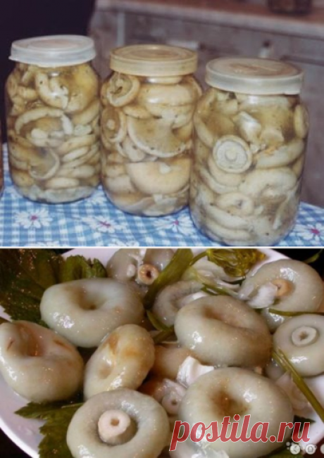 (10) Одноклассники