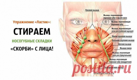 Упражнение «Ластик»: СТИРАЕМ носогубные складки «скорби» с лица!