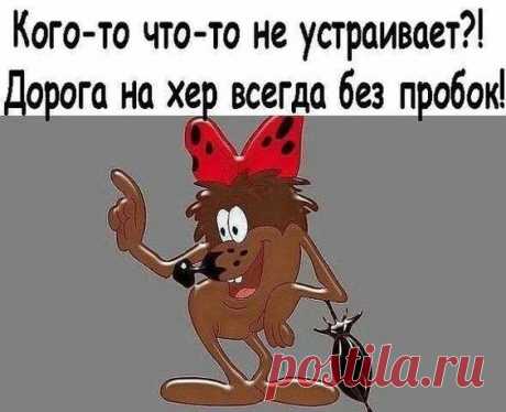 (210) Pinterest