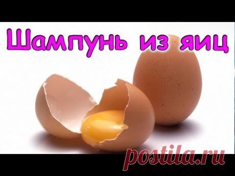 Семья Бровченко. Шампунь из яиц своими руками + кондиционер. (04.17г.)