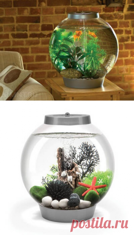 Какой аквариум лучше выбрать: виды и конструкции