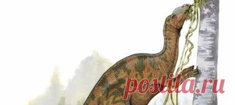 Примерно 66 миллионов лет назад утконосый динозавр погиб по неизвестной причине, на прощание, быть может, взмахнув своим длинным мощным хвостом. Все, что от него осталось сейчас – это несколько фрагментов хвостовых позвонков. И исследователи обнаружили в них нечто неожиданное.