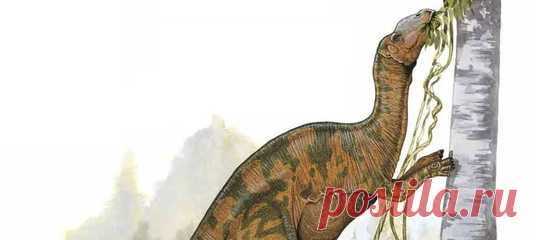Примерно 66 миллионов лет назад утконосый динозавр погиб по неизвестной причине, на прощание, быть может, взмахнув своим длинным мощным хвостом. Все, что от него осталось сейчас – это несколько фрагментов хвостовых позвонков. И исследователи обнаружили в них нечто неожиданное.
