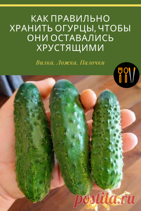Всего 4 простых правила и у вас в холодильнике всегда будут хрустящие огурчики!