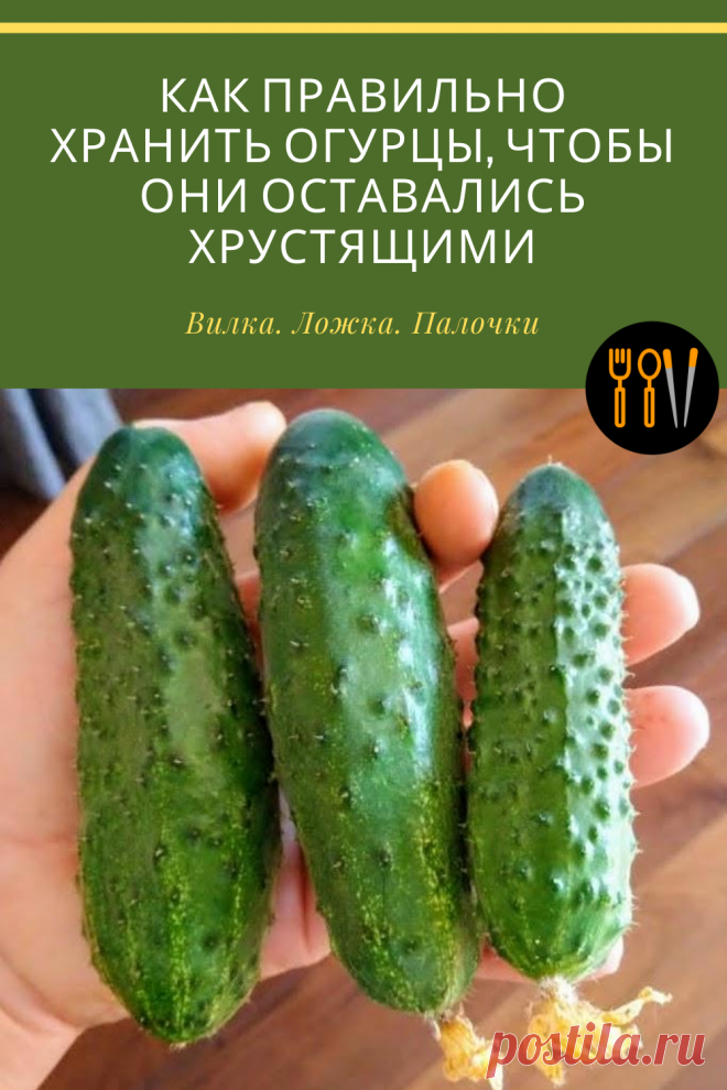 Всего 4 простых правила и у вас в холодильнике всегда будут хрустящие огурчики!