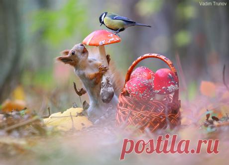 35PHOTO - Вадим Трунов - ***