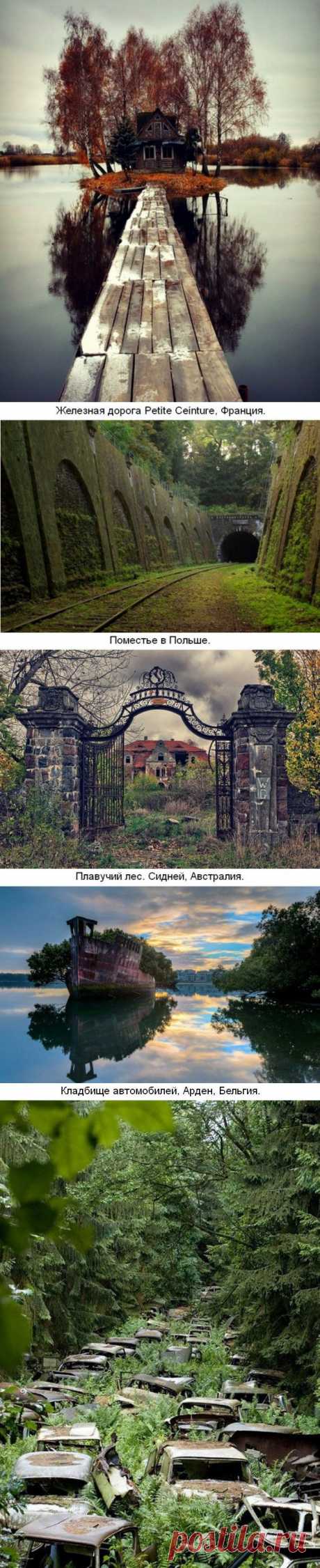 Там чудеса, там леший бродит... / Туристический спутник