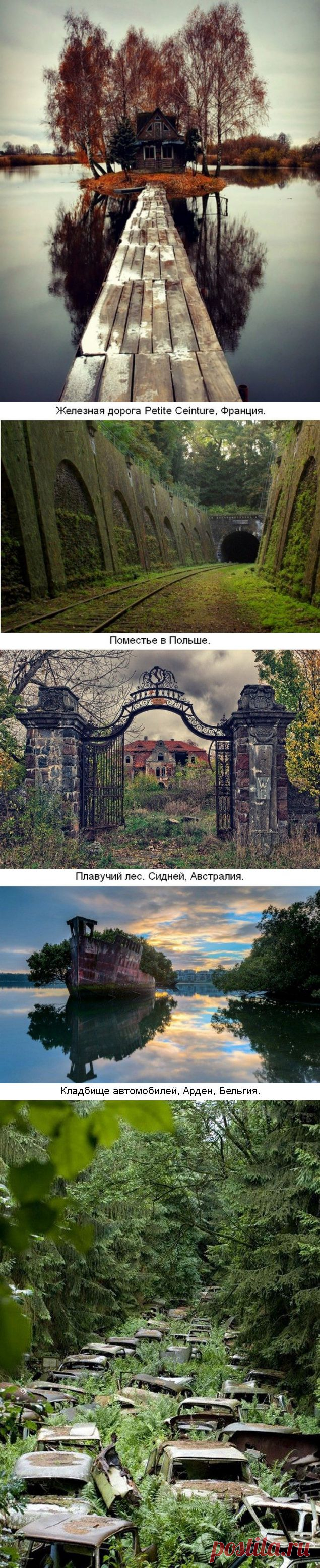 Там чудеса, там леший бродит... / Туристический спутник
