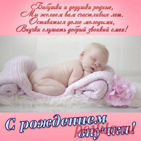 С новорожденной вас внучкой!
Крошка пусть растет здоровой,
Радует вас каждый день,
Быть напарницей ей в играх
Никогда не будет лень.