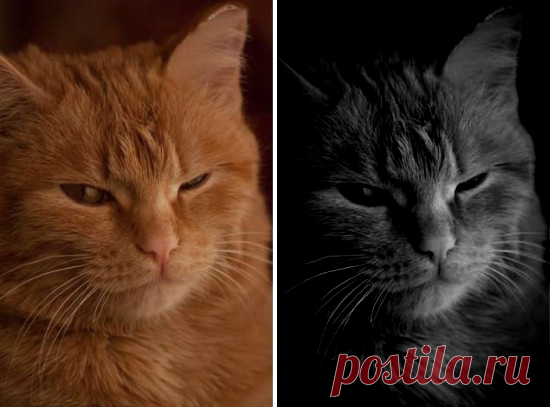 Pixlr X: простой и бесплатный онлайн-фоторедактор