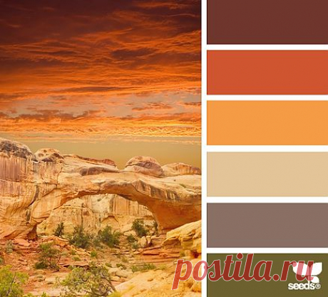 Design Seeds® | find your palette
