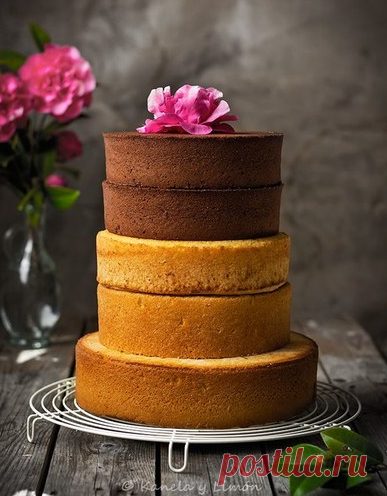 БИСКВИТ! 4 идеальных рецепта: Классический, Шоколадный, Пряный, Ореховый!