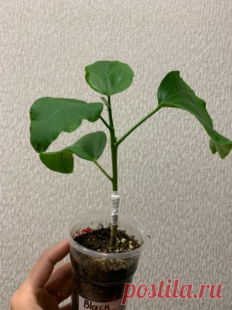 qCrE9XBT6Vg.jpg (1440×1920)