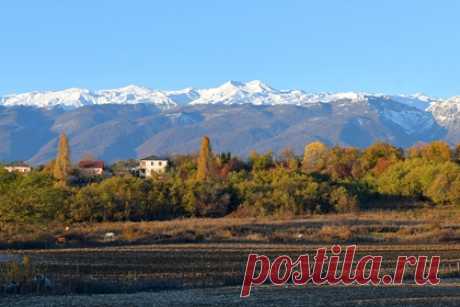 Раненным во время стрельбы в Абхазии туристам пригрозили расправой в сети. Российским туристам Тимуру Салимгариеву и Александру Филояну, раненным в июне во время стрельбы на курорте Пицунда в Абхазии, стали угрожать расправой в соцсетях. Так, что туристам, давшим огласку инциденту в соцсетях, начали поступать угрозы от неизвестных людей, которые обещали их «убить, если не удалят посты».