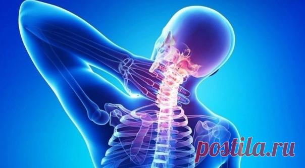 Средство против остеохондроза.

Шейный остеохондроз с трудом поддается лечению. Предлагаю испробовать очень любопытный рецептик. После его использования боли не ощутите несколько лет!

Готовим целебную массажную массу:
Показать полностью...