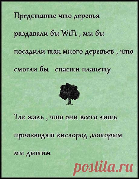 Наталья Ангеловская