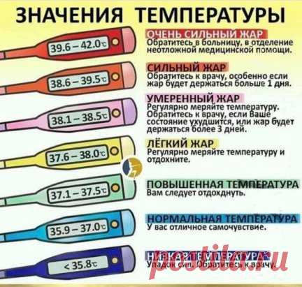 Основные показатели температуры нашего тела.
Оказывается, что норма не только 36,6.