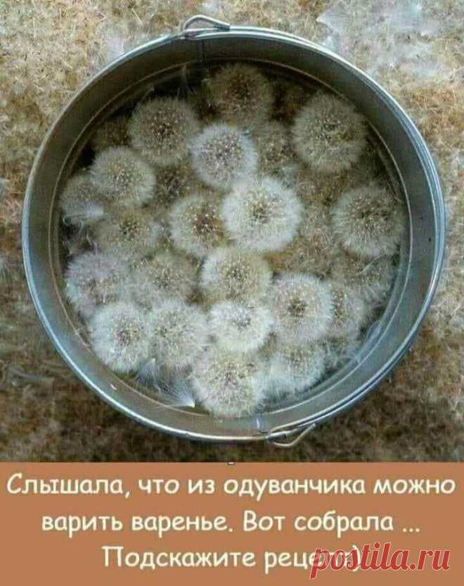 Есть знатоки?)))))))))))