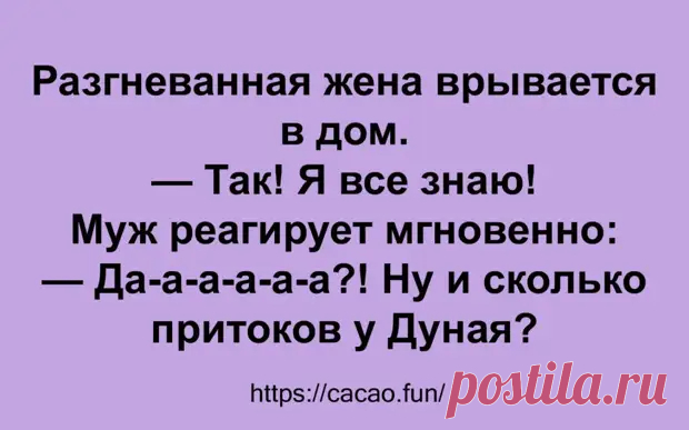 (30) Яркие анекдоты, которые заставят смеяться до слез - Сказка для двоих - 6 января - 43087096502 - Медиаплатформа МирТесен