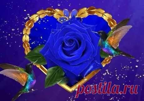 (14) Зина Таирова