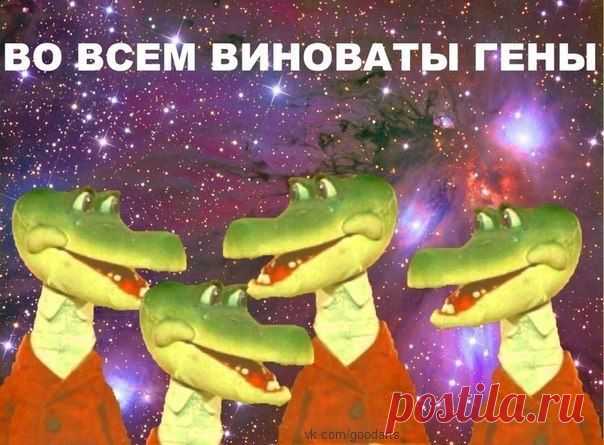 ОК