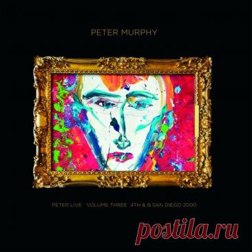 Peter Murphy - Peter Live Volume 3/4th And B San Diego 2000 (2025) 320kbps / FLAC