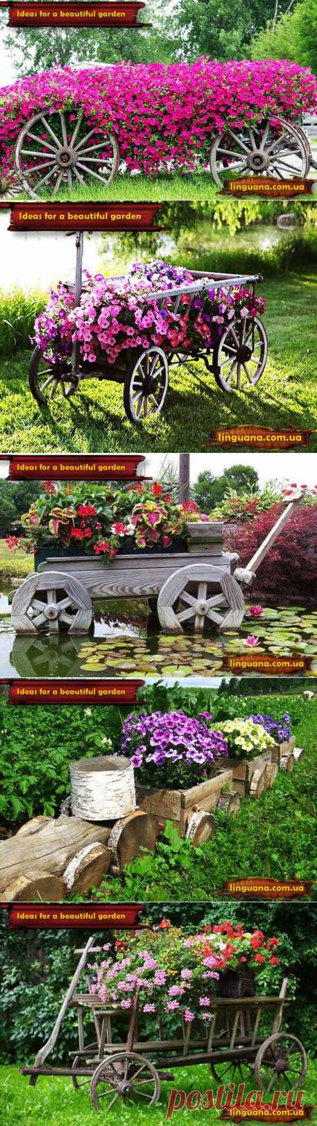 Linguana | Ideas for a beautiful garden. Ідеї для красивого саду.