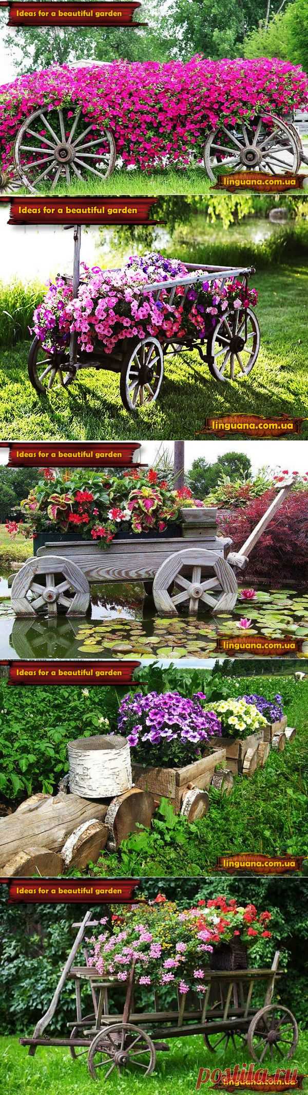 Linguana | Ideas for a beautiful garden. Ідеї для красивого саду.