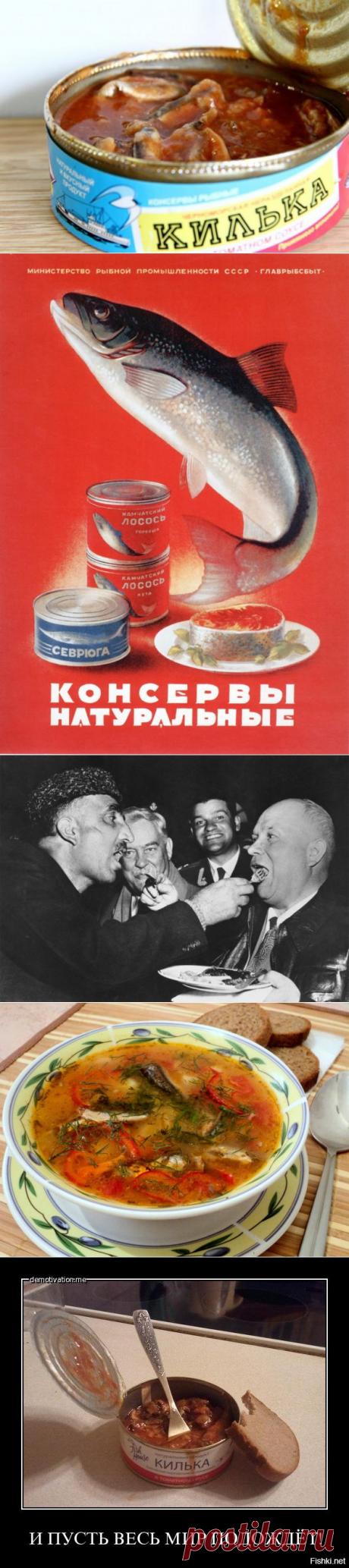 История «Кильки в томате»