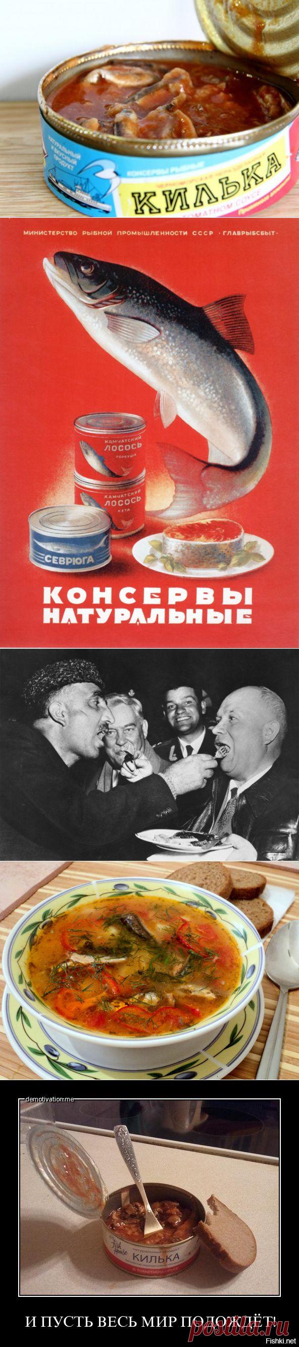 История «Кильки в томате»