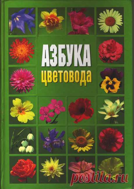 Азбука цветовода | Кладовочка картинок