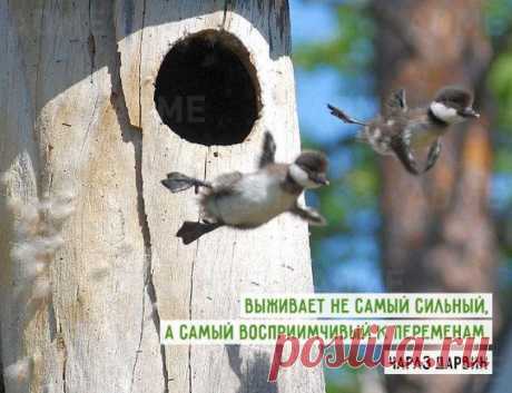 Вдохновляющие цитаты на все времена / Приколы