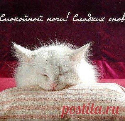 ___Доброй Ночи Друзья! До Завтра!