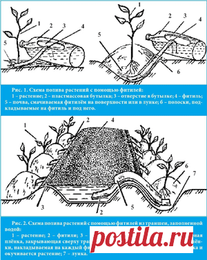 Поливаем огород. Способы полива (сборка)