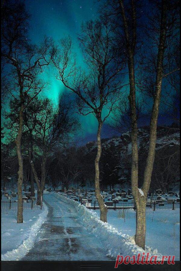 Art Of Nature
