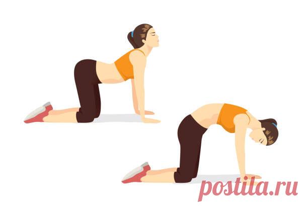 Как уменьшить боль в спине за 5 минут: эффективные упражнения для каждого | Обувь MBT | Дзен