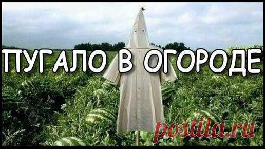 Дача Своими Руками. | Красивое пугало огородное.