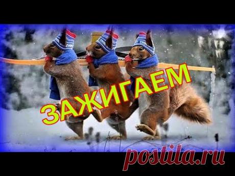 Прикольный Шуточный Видеоклип для Друзей. Веселый Юмор