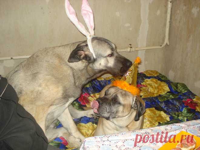 По секретику  только тебе- сейчас мясо принесут!!!