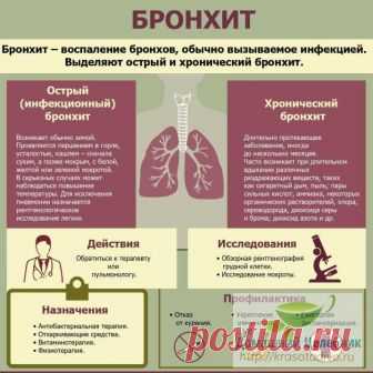 Как вывести мокроту из легких простыми средствами Мокрота в легких — это бронхит. Бронхит бывает острый и хронический.

Острый бронхит – это острое воспаление бронхов, при котором их слизистые оболочки сильно набухают, а кровеносные сосуды расширяютс…