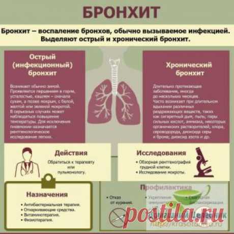 Как вывести мокроту из легких простыми средствами Мокрота в легких — это бронхит. Бронхит бывает острый и хронический.

Острый бронхит – это острое воспаление бронхов, при котором их слизистые оболочки сильно набухают, а кровеносные сосуды расширяютс…