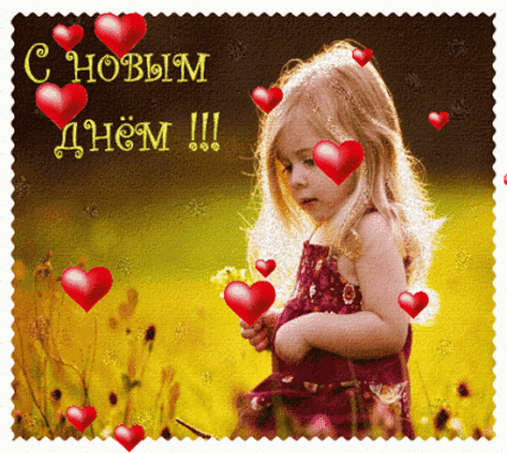 Живые фотографии – Сообщество – Google+