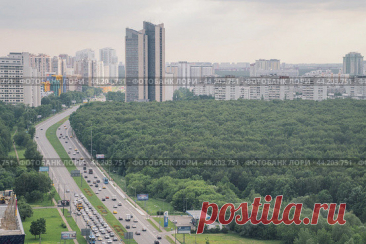City road, buildings and park, cityscape, high angle view (2020 год) Редакционное фото, фотограф Ilaronsia / Фотобанк Лори