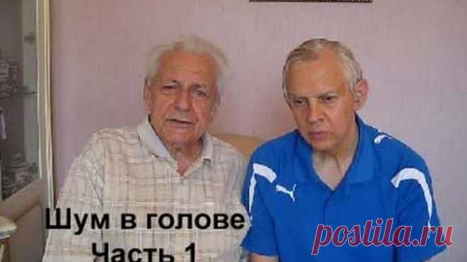 Шум в голове Часть 1 Alexander Zakurdaev