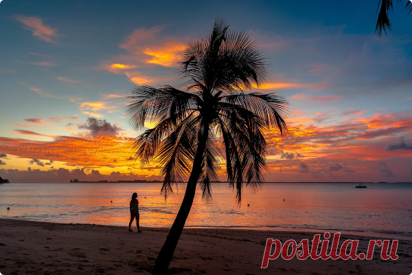 Советы и схемы по эргономике, которые помогут сделать комфортной каждую комнату в доме | Советы по дому