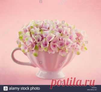 Stock Photo
