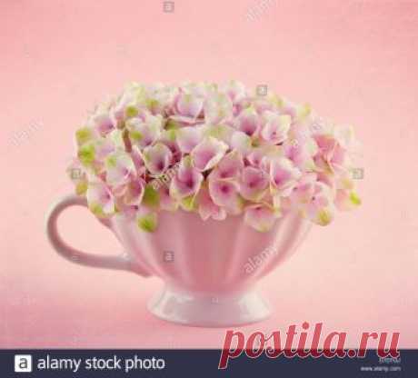 Stock Photo