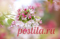 Pinterest • Всемирный каталог идей