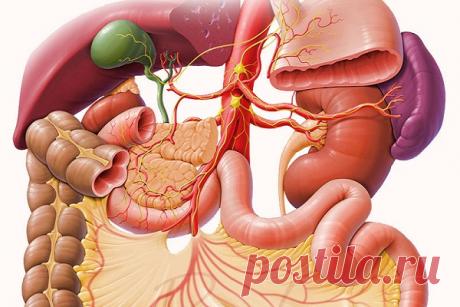 Интервальное голодание: потеря веса, купирование диабета 2 типа, и многое другое! - Жизнь планеты   Интервальное голодание: потеря веса, купирование диабета 2 типа, и многое другое! Пост не имеет стандартной продолжительности, так как это просто отсутствие еды. В любое время, когда вы не едите, …