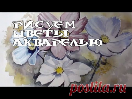 Как рисовать цветы акварелью. Космея поэтапно. Рисунки для срисовки